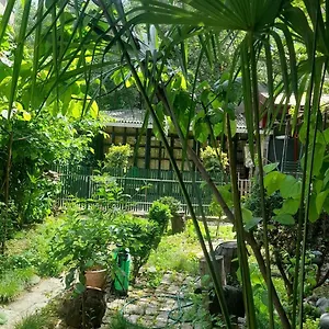 Гостевой дом Gardens In Vake,, Тбилиси